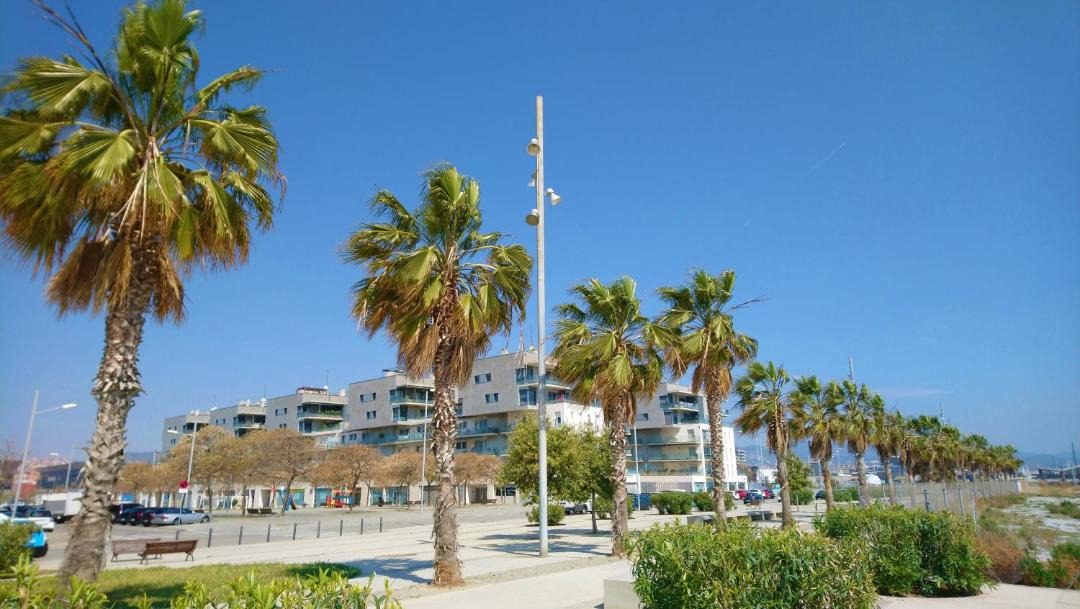 Photo of Others in Badalona