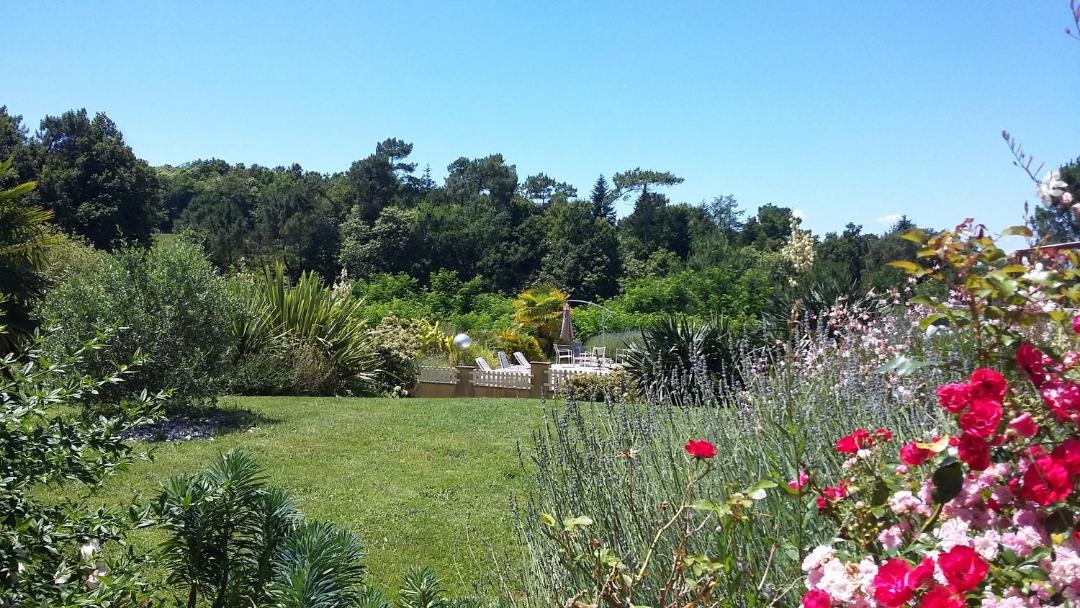 Photo of Others in Saint-Bonnet-sur-Gironde