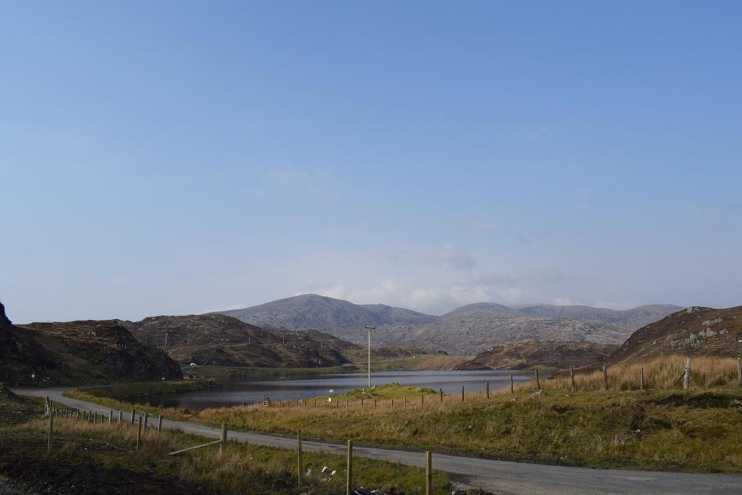 Photo of Others in Harris