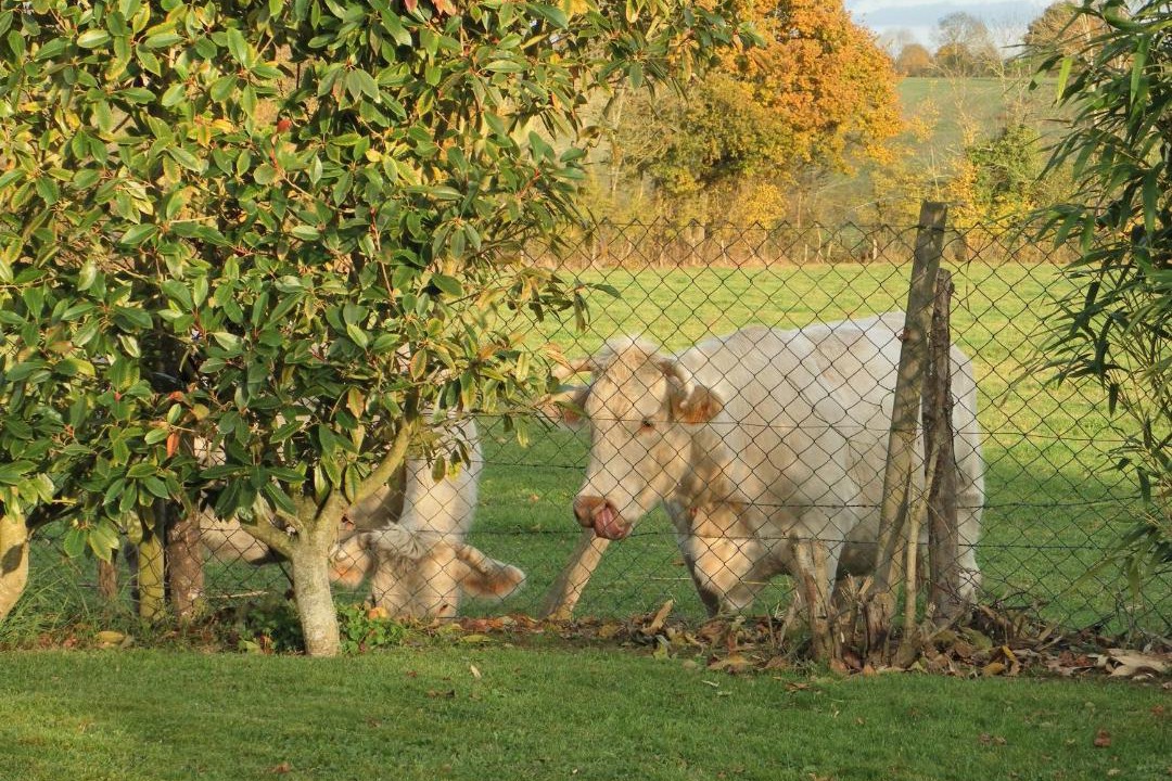 Photo of Others in Dance