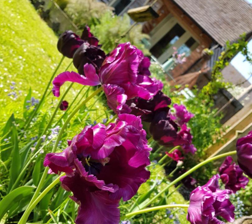 Photo of Others in Ellenhall