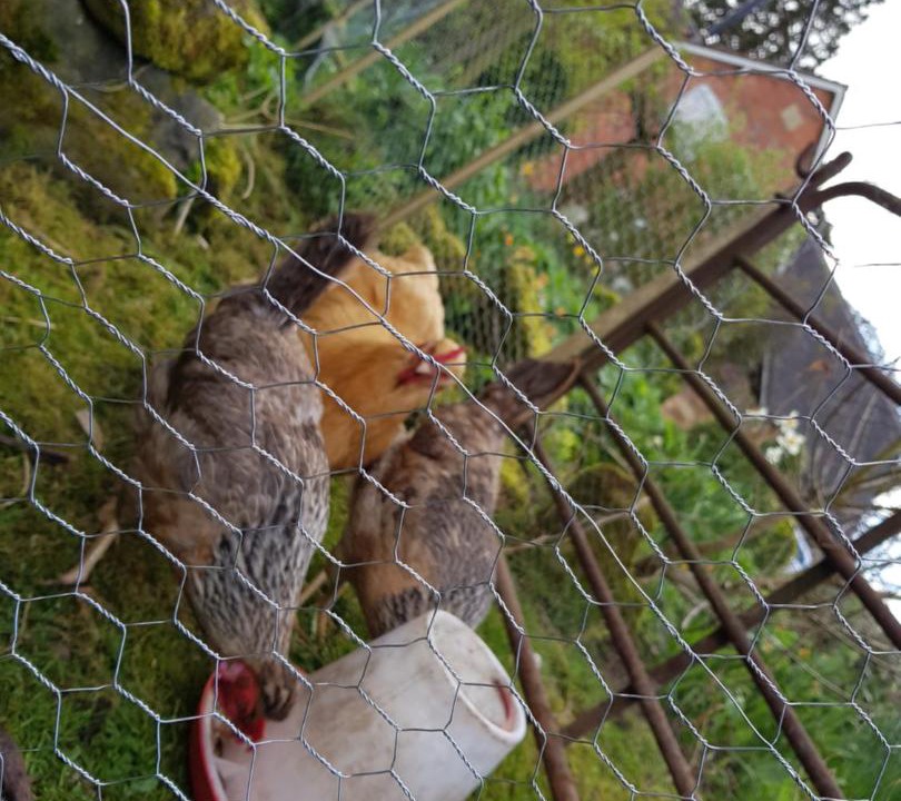 Photo of Others in Ellenhall