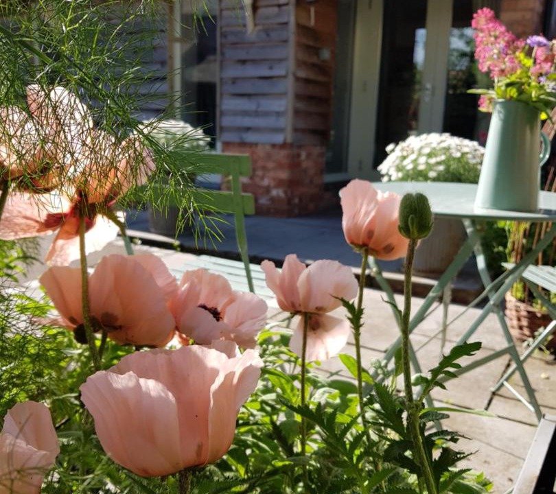 Photo of Others in Ellenhall