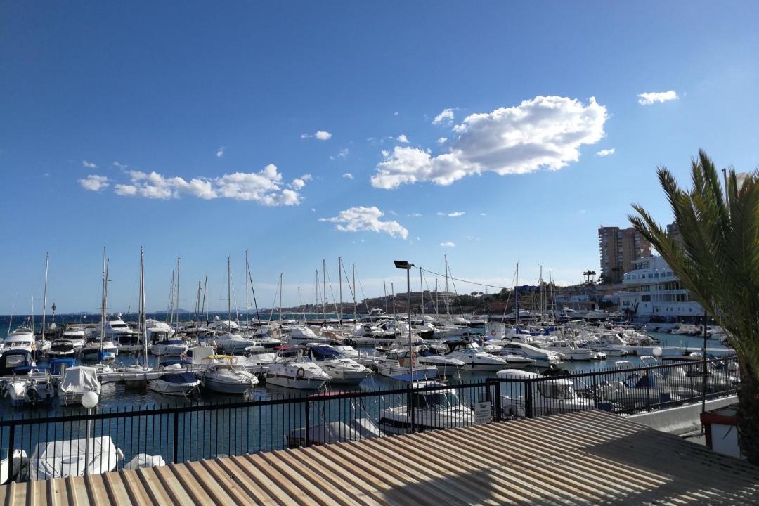 Photo of Others in Dehesa de Campoamor