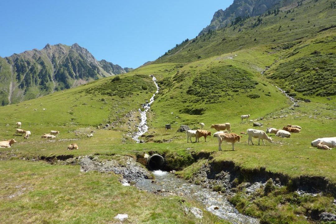 Photo of Others in La Mongie