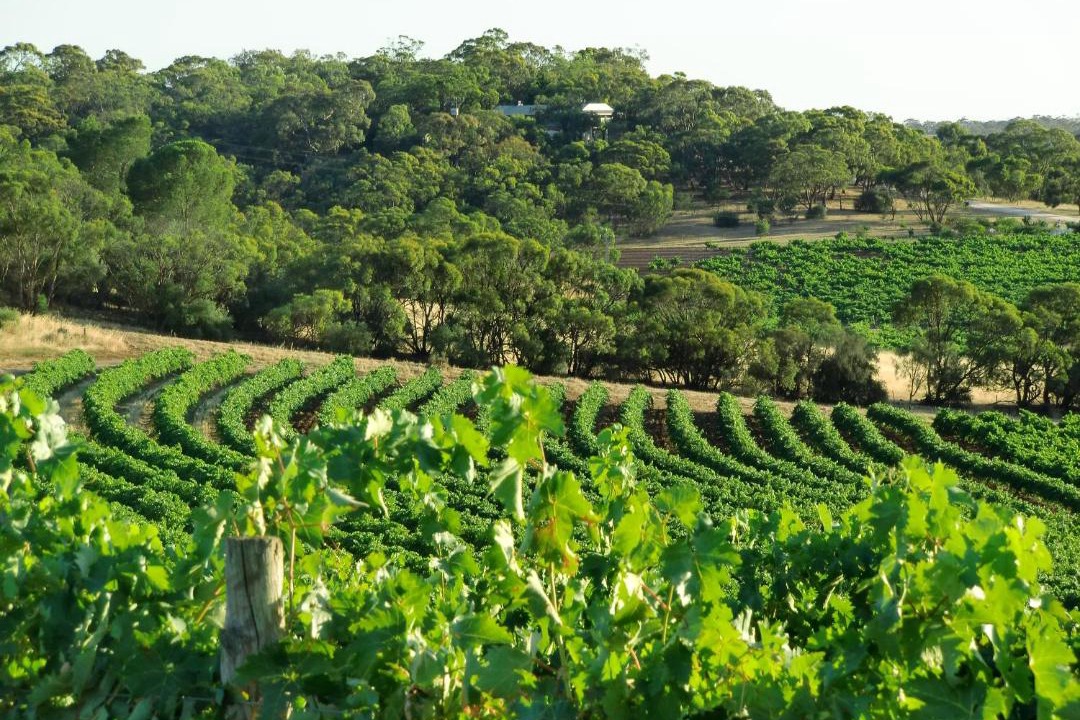 Photo of Outdoor in Light Pass