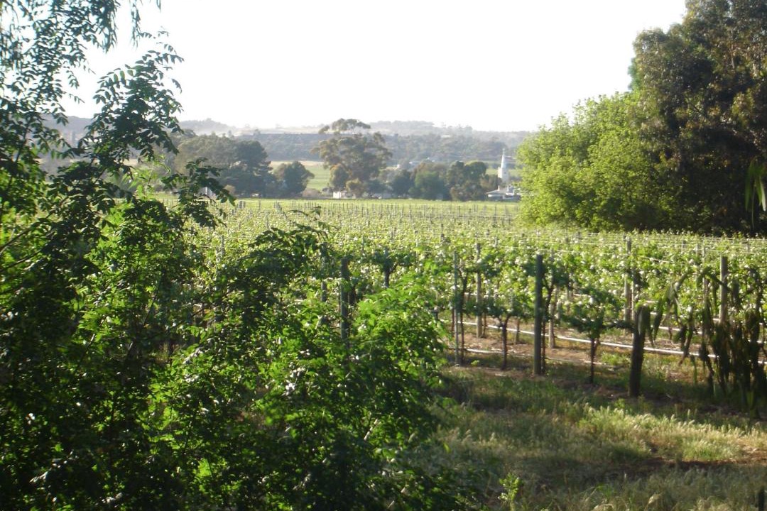 Photo of Outdoor in Light Pass