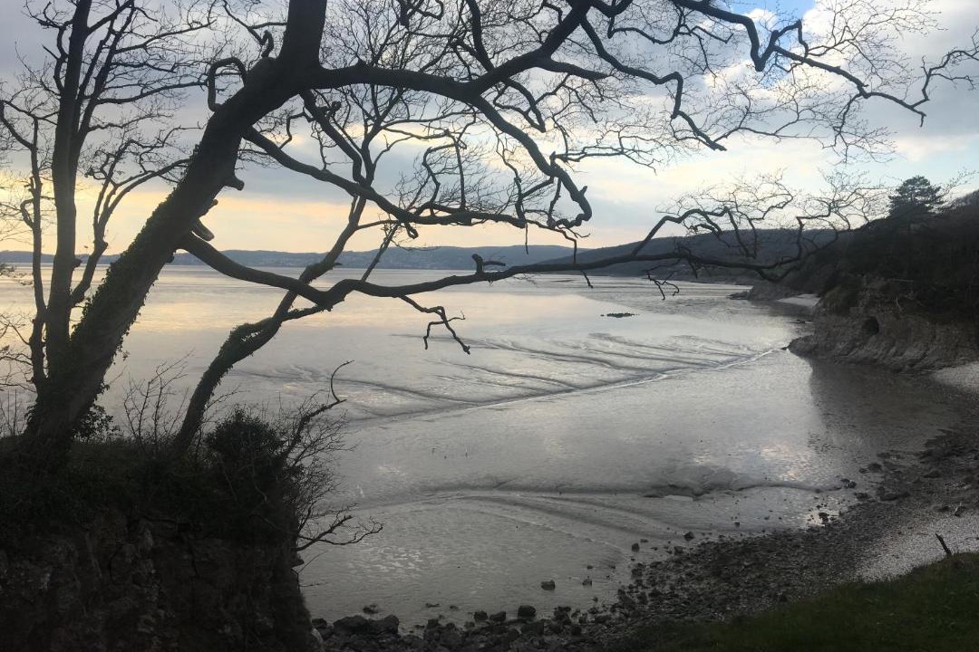 Photo of Outdoor in Silverdale