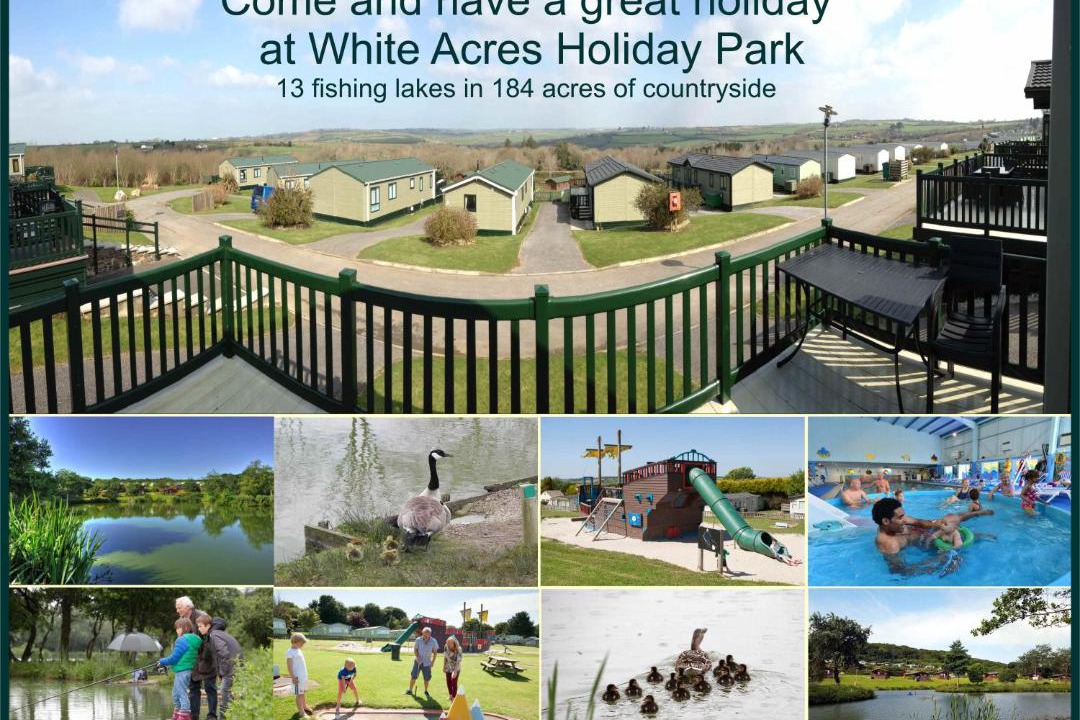 Photo of Others in White Cross