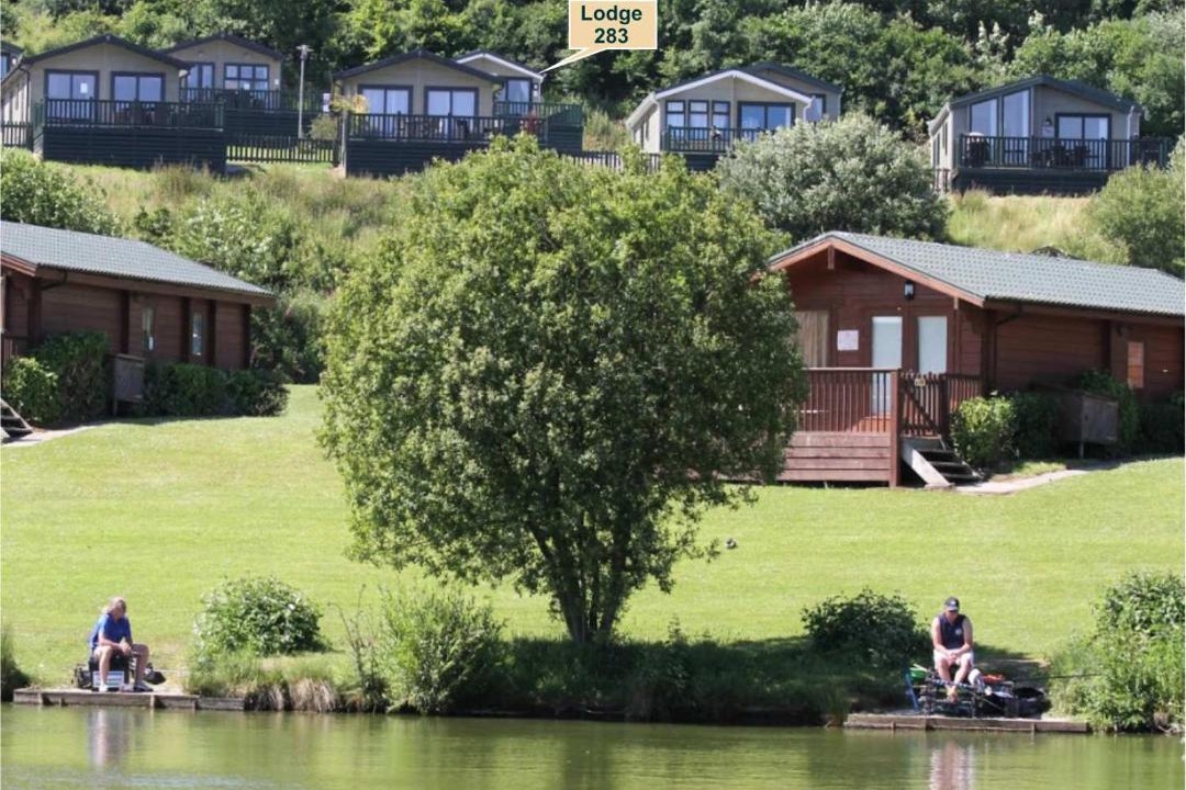 Photo of Others in White Cross