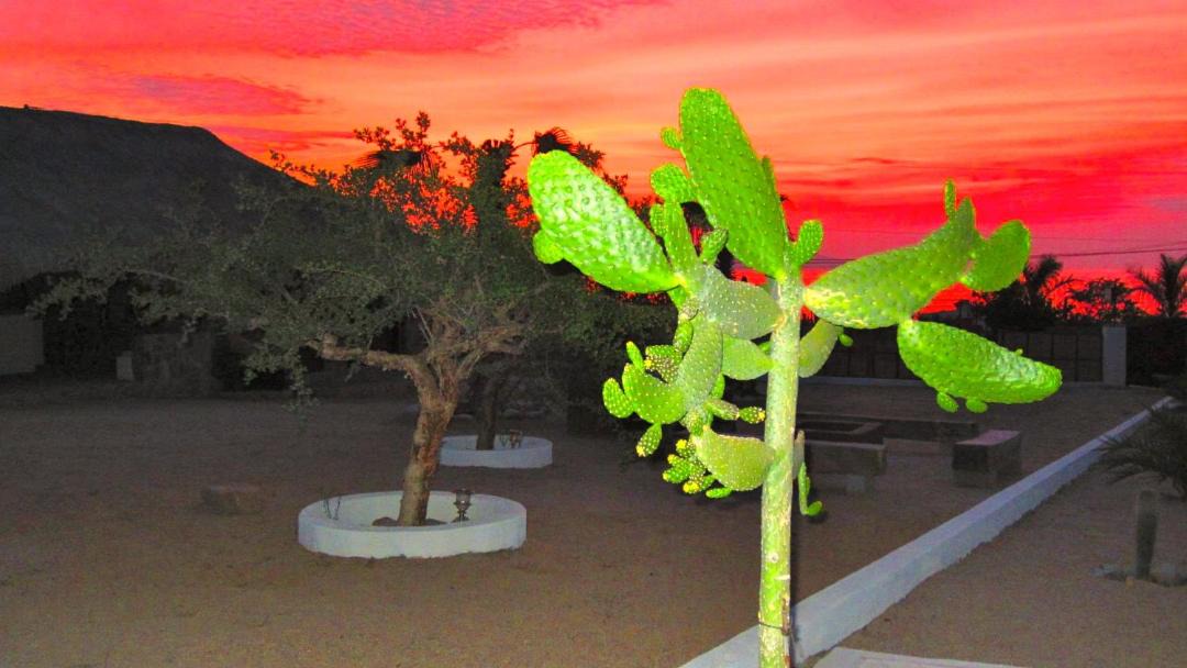 Photo of Others in El Sargento