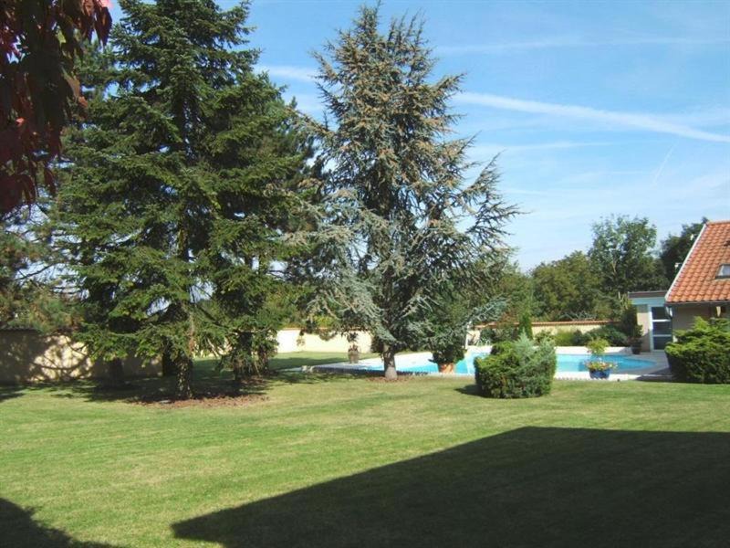 Photo of Others in Argancy