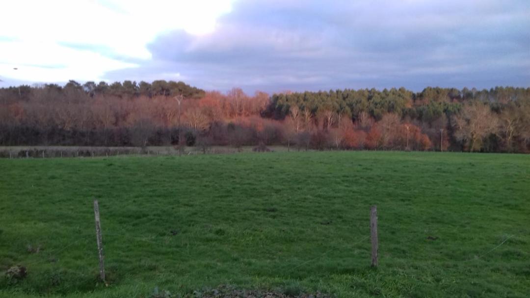 Photo of Others in Saint Martin de Coux