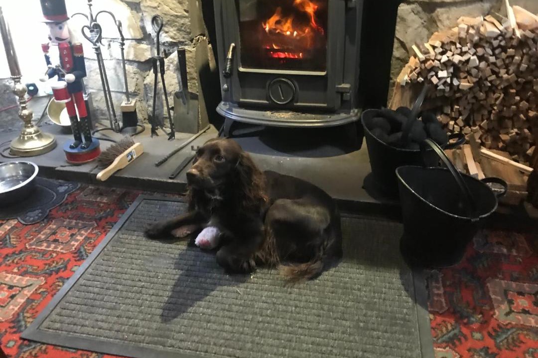 Photo of Others in Richmond