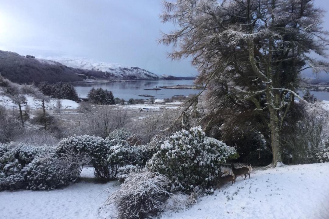 Photo of Others in Isle of Seil