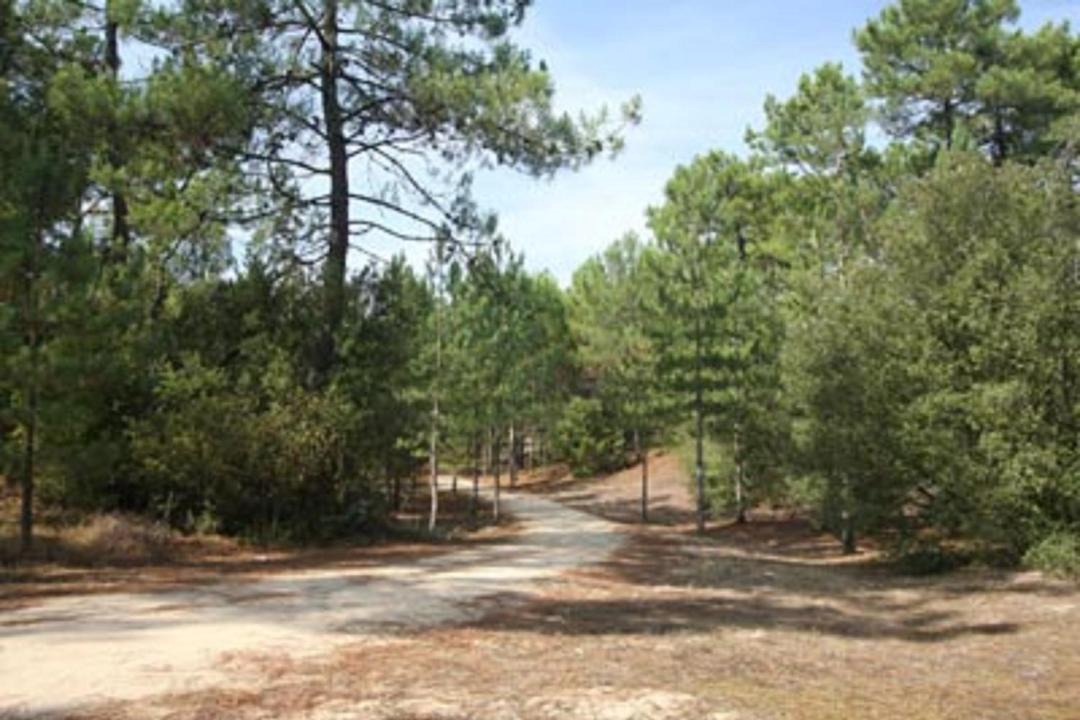 Photo of Outdoor in Meschers-sur-Gironde