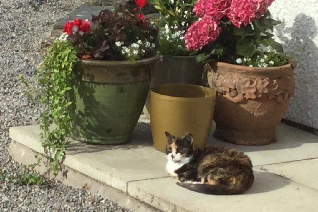 Photo of Others in Isle of Seil