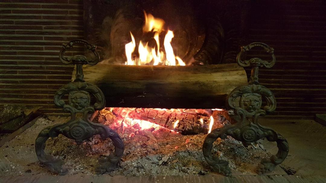 Photo of Others in Medan