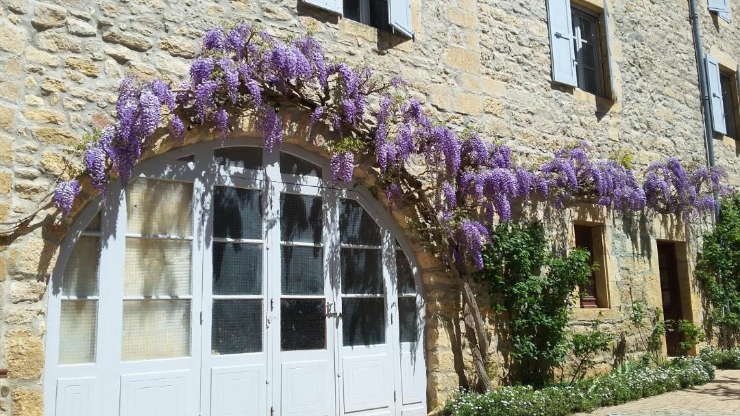 Photo of Others in Saint-Come-d'Olt