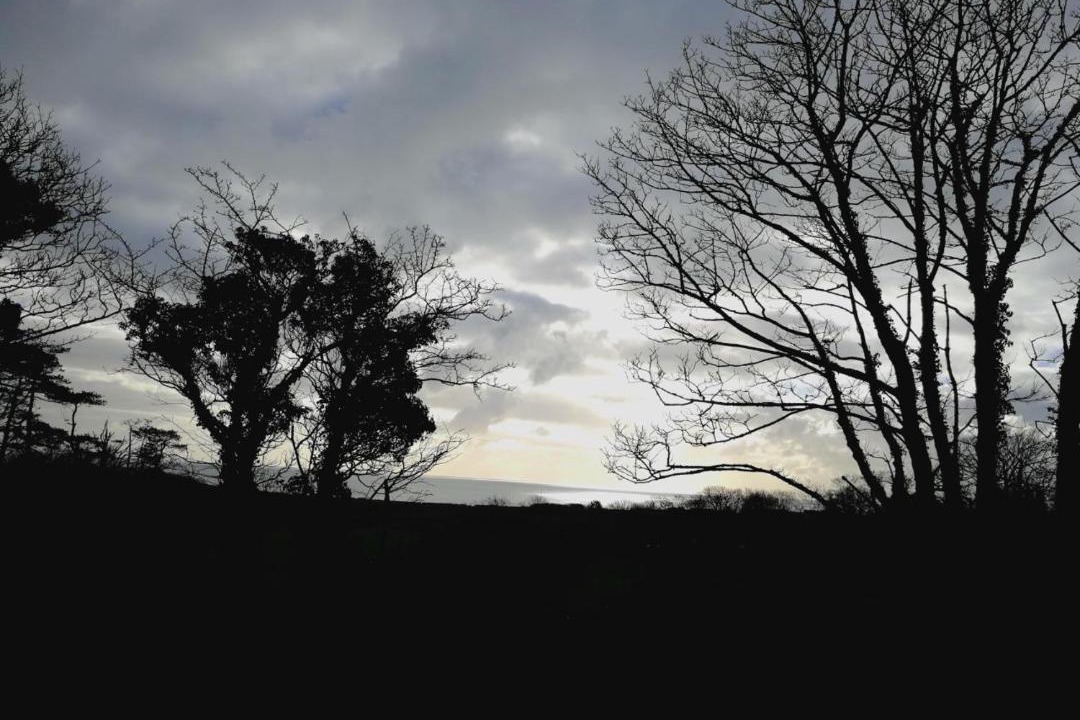 Photo of Others in Criccieth