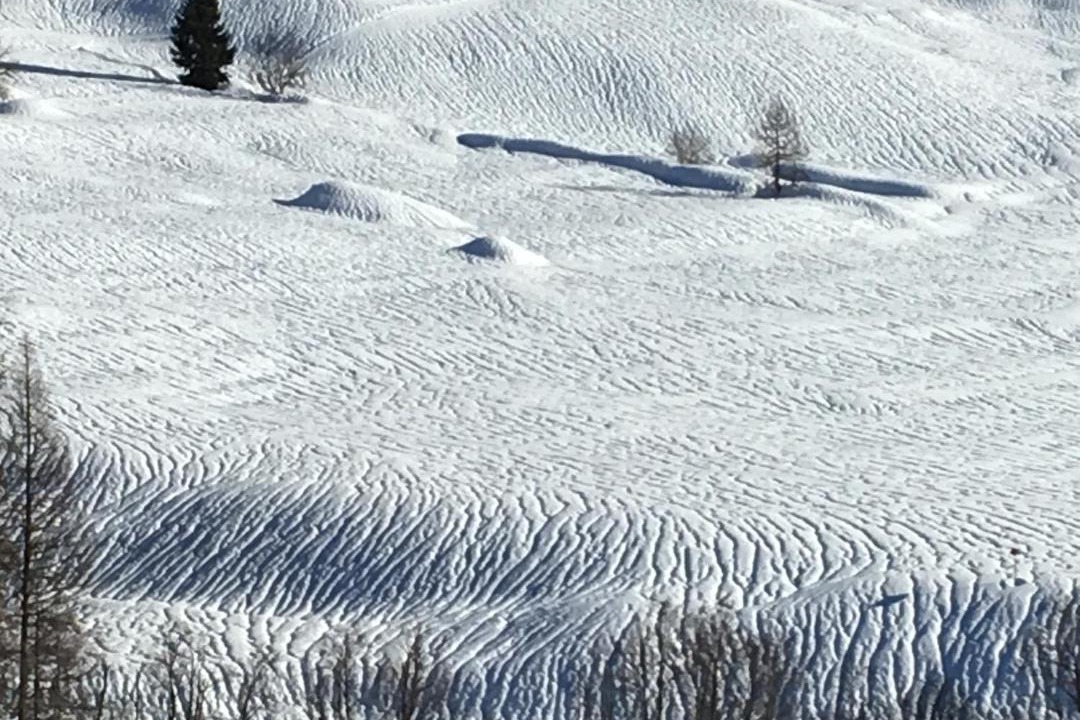 Photo of Others in Riederalp