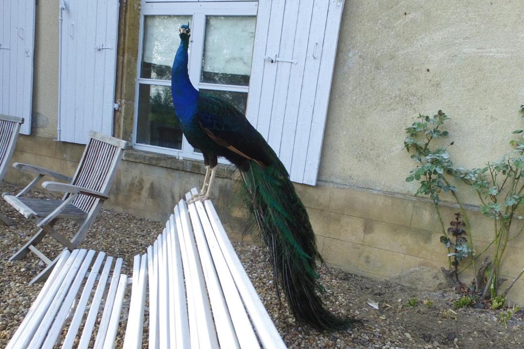 Photo of Others in Saint-Jean-aux-Amognes