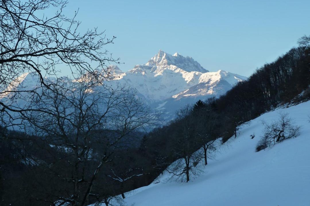 Photo of Others in Villars-sur-Ollon