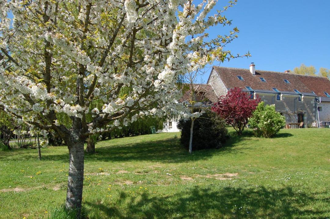 Photo of Others in Savonnieres