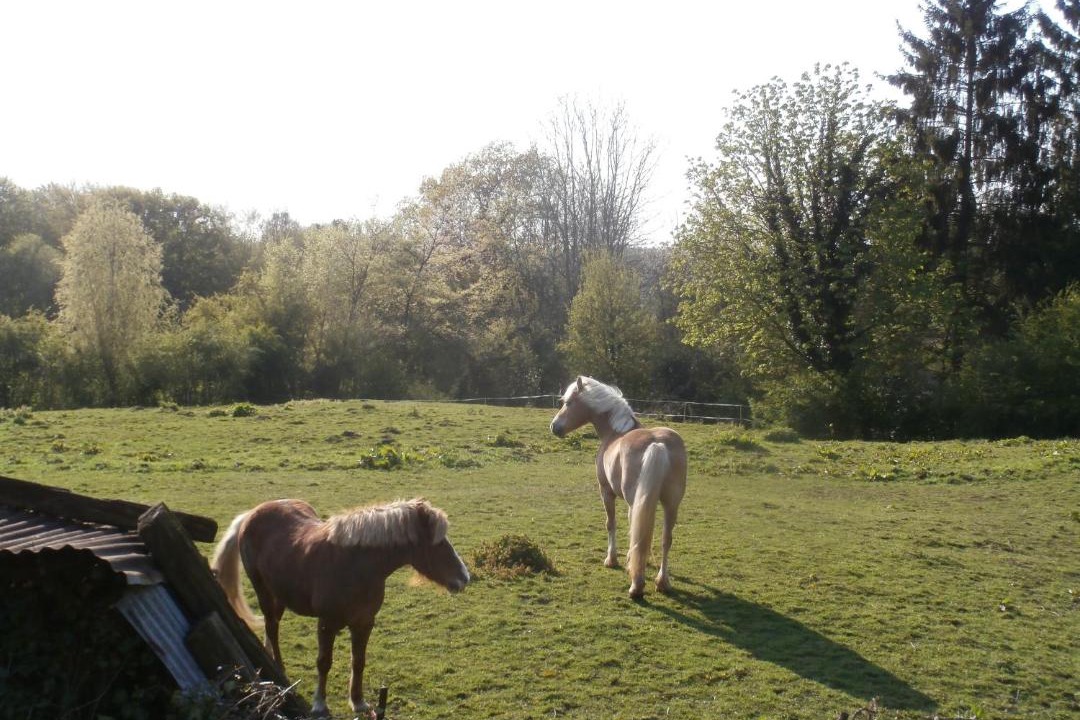 Photo of Others in Saint-Algis