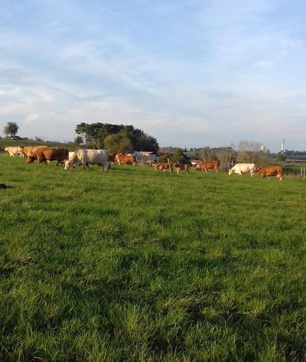 Photo of Others in Saint Martin de Coux