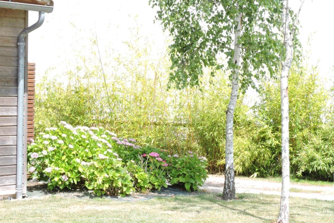 Photo of Others in Coueron