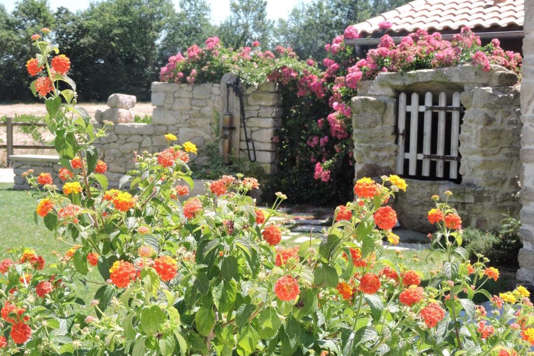 Photo of Others in Coueron