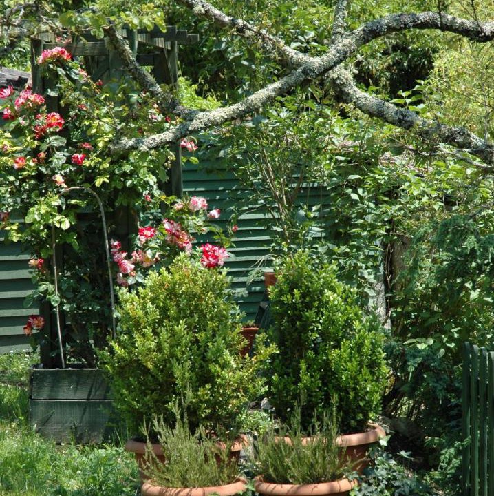 Photo of Others in Lucmau