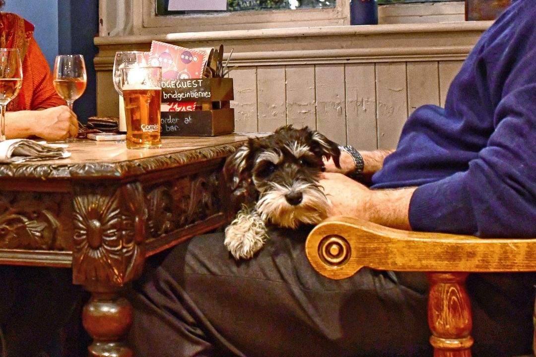 Photo of Others in Barnes