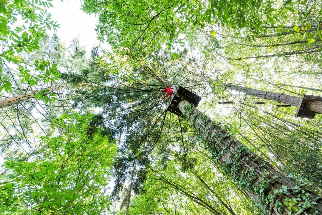 Photo of Others in Force