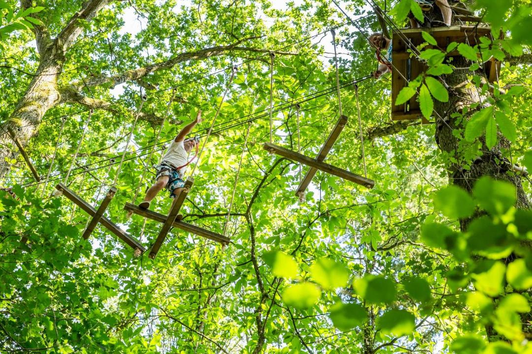 Photo of Others in Force