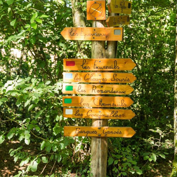 Photo of Others in Force