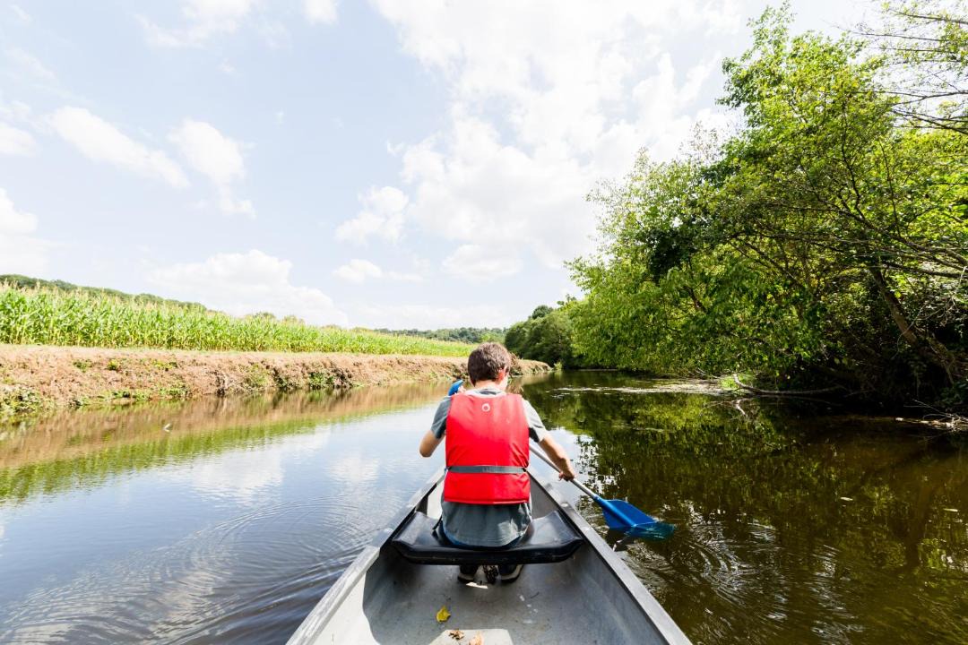 Photo of Others in Force