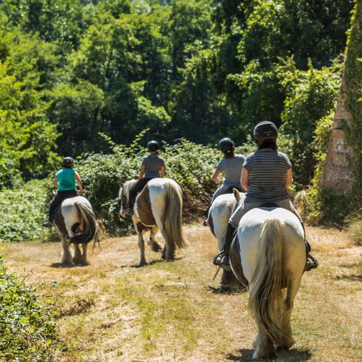 Photo of Others in Force