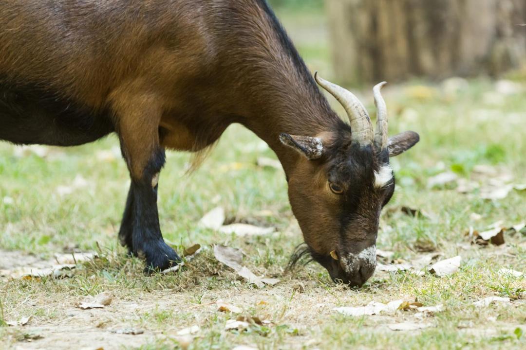 Photo of Others in Force