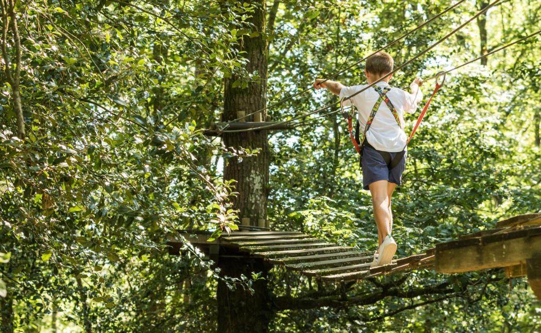 Photo of Others in Force