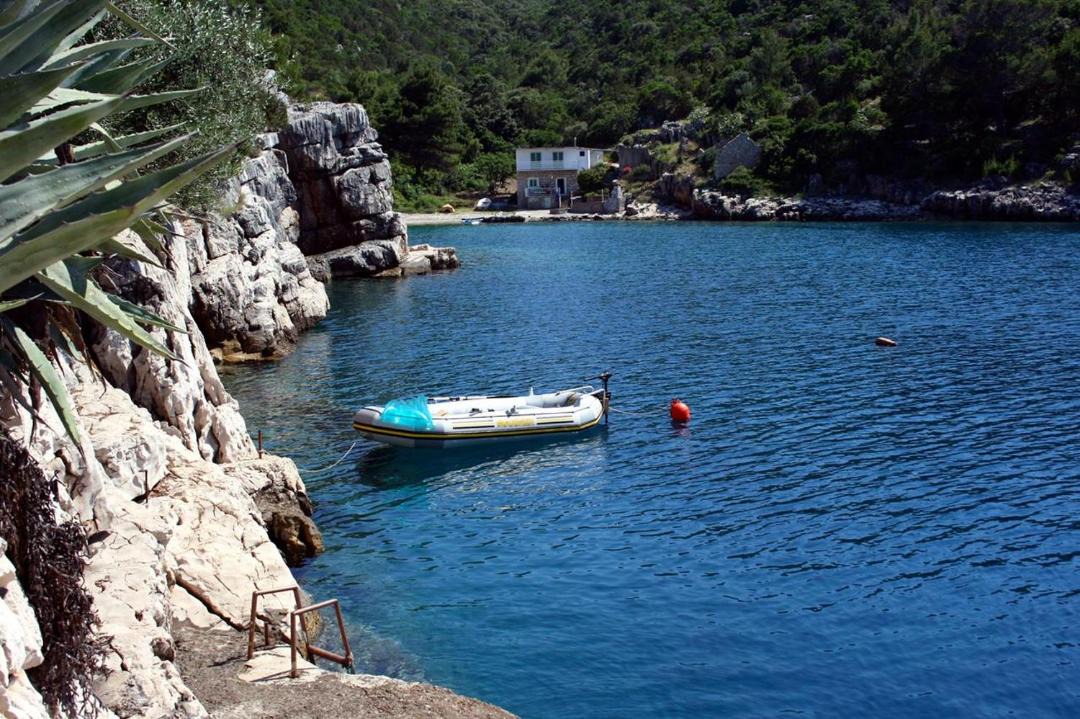 Photo of Others in Pokrivenik