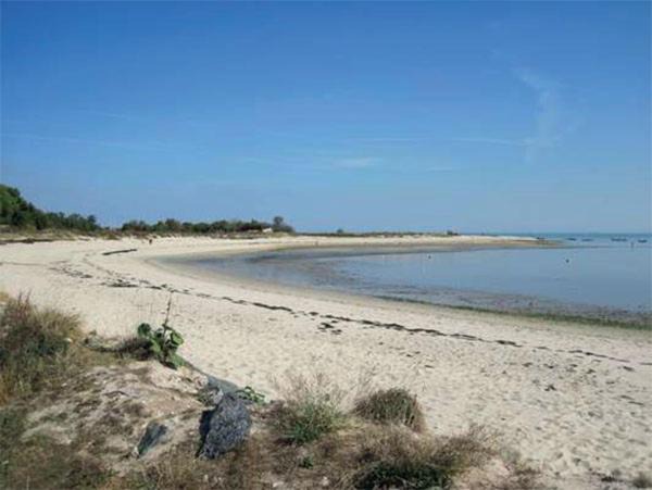 Photo of Others in Loix