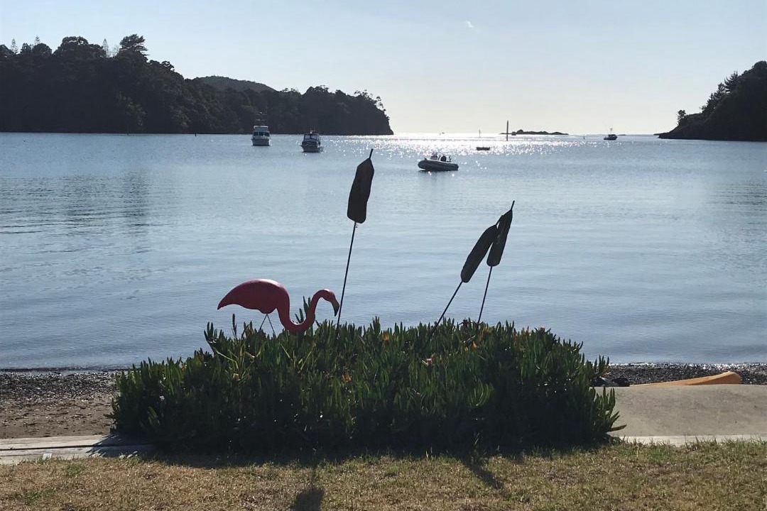 Photo of Outdoor in Tutukaka