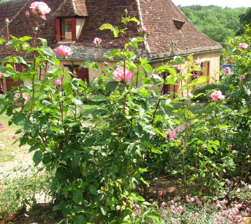 Photo of Buildings in Sainte-Alvere