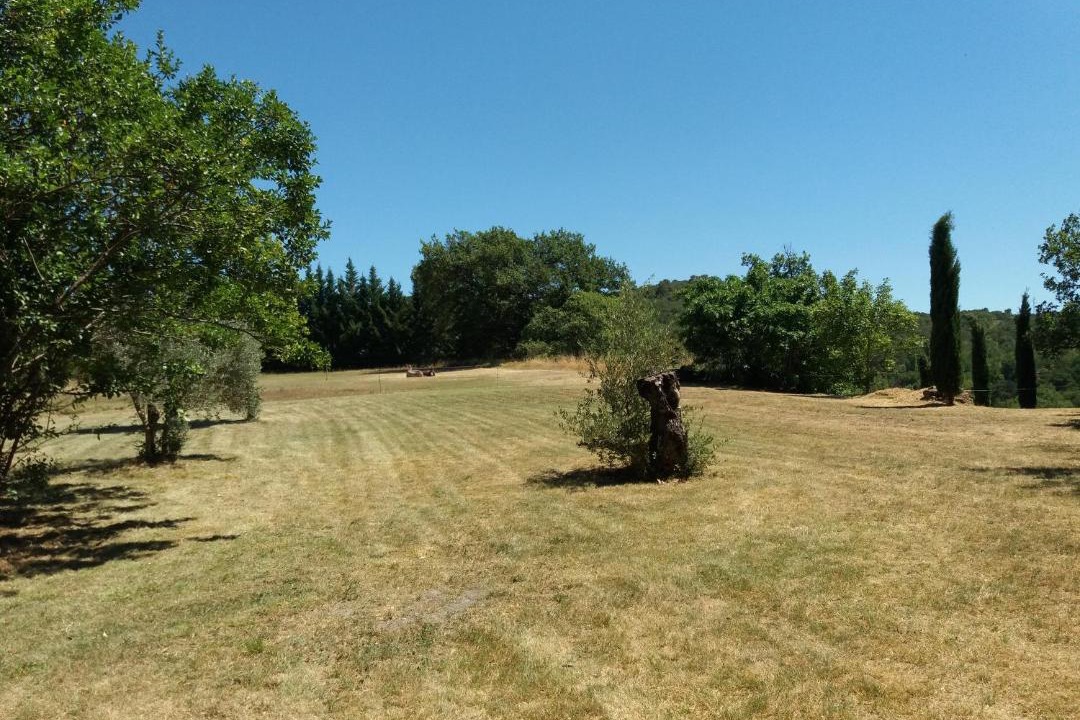 Photo of Others in Niozelles
