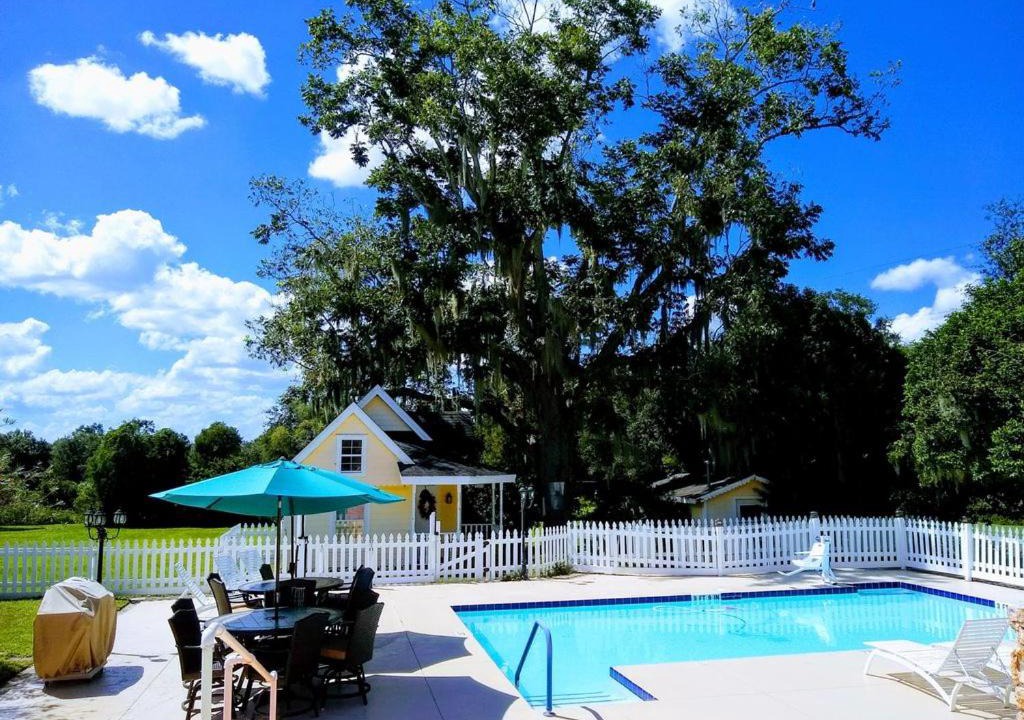 Photo of Others in Weirsdale