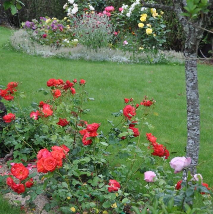 Photo of Others in Binic