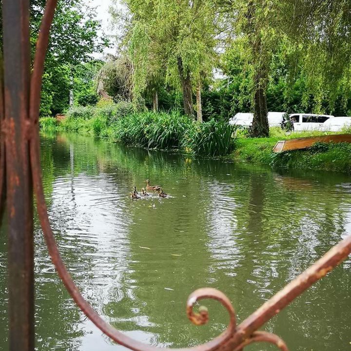 Photo of Others in Mezilles