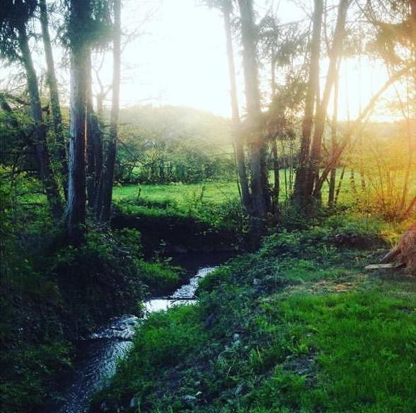 Photo of Others in Mezilles